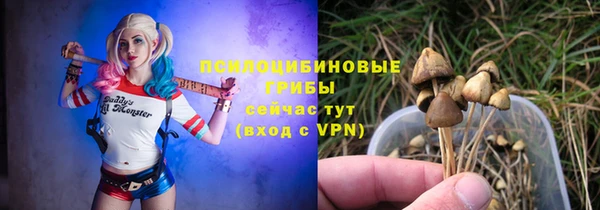стаф Верея