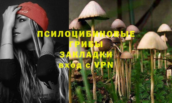 дмт Бронницы