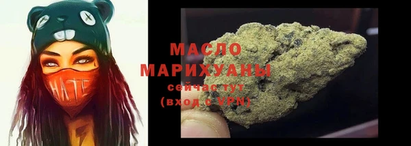 мдпв Бородино