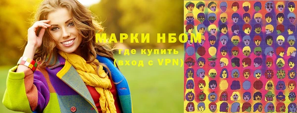 стаф Верея