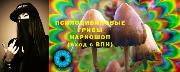 стаф Верея