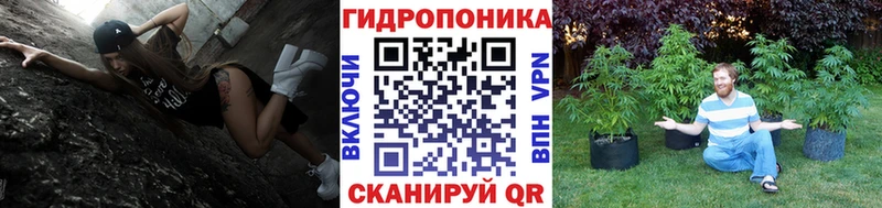 Марихуана план Минусинск